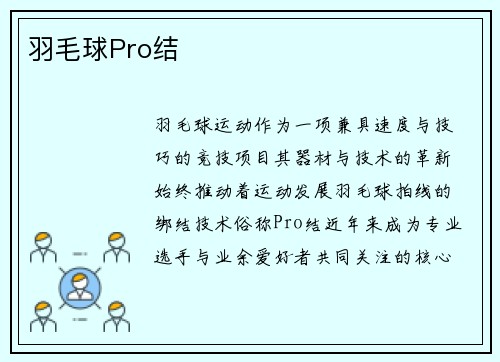 羽毛球Pro结